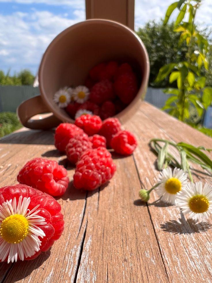 Orchard Essence: Vibrant Berry Medley Pack